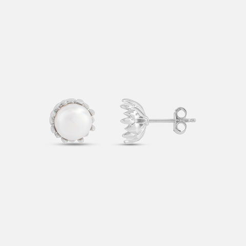 Gorgeous Pearl Silver Stud Earrings