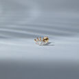 Guardian Eye Gold and Diamond Nose Pin,,hi-res view 1