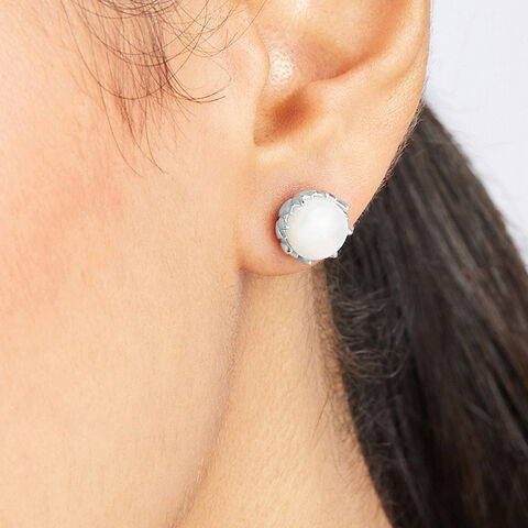 Gorgeous Pearl Silver Stud Earrings