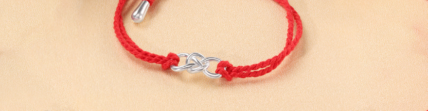Forever Link Silver Rakhi article-main-img