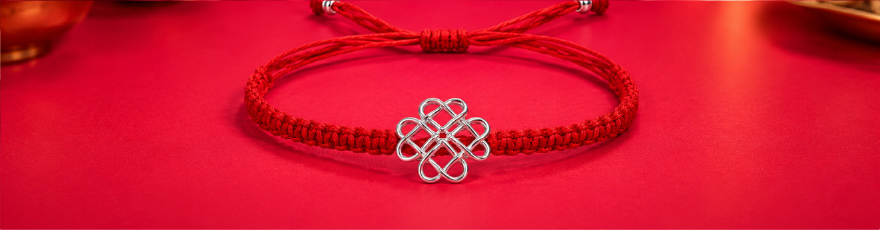Endless Harmony Silver Rakhi article-main-img