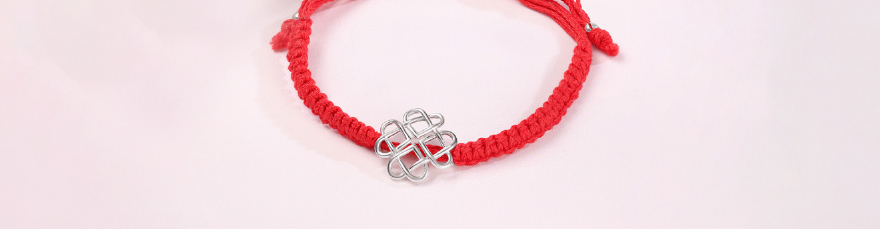 Endless Harmony Silver Rakhi article-main-img